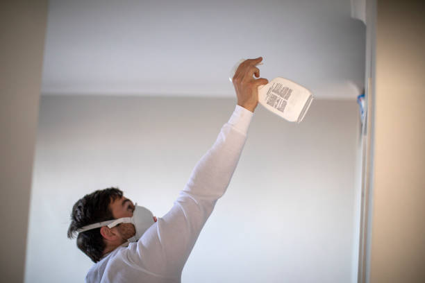 Best Mold Testing  in Danville, IA