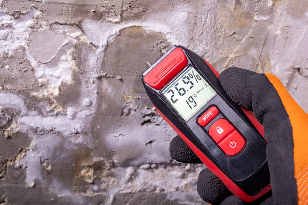 Best Certified Mold Removal  in Danville, IA