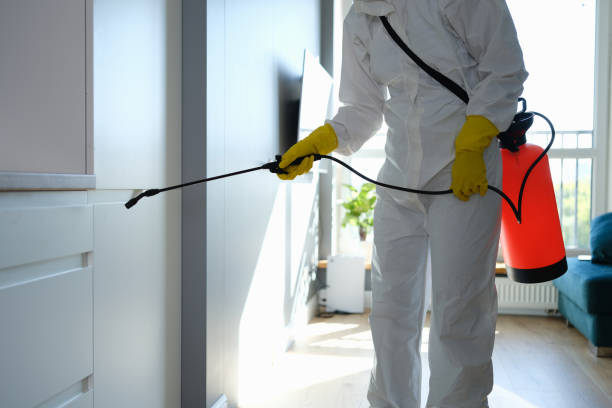 Crawl Space Mold Removal in Danville, IA
